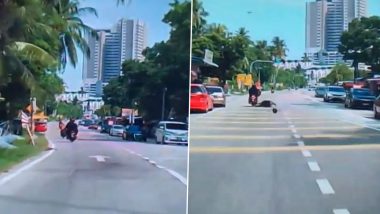 Football-Sized Coconut Falls On Pillion Rider's Head in Viral Video, Leaves Woman Lying on The Road as Bike Goes Off Balance!